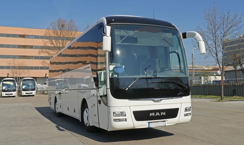 Lower Austria: Buses operator in Deutsch-Wagram in Deutsch-Wagram and Austria
