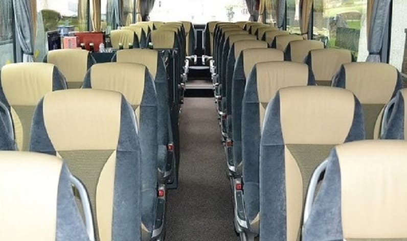 Austria: Coach operator in Lower Austria in Lower Austria and Groß-Enzersdorf